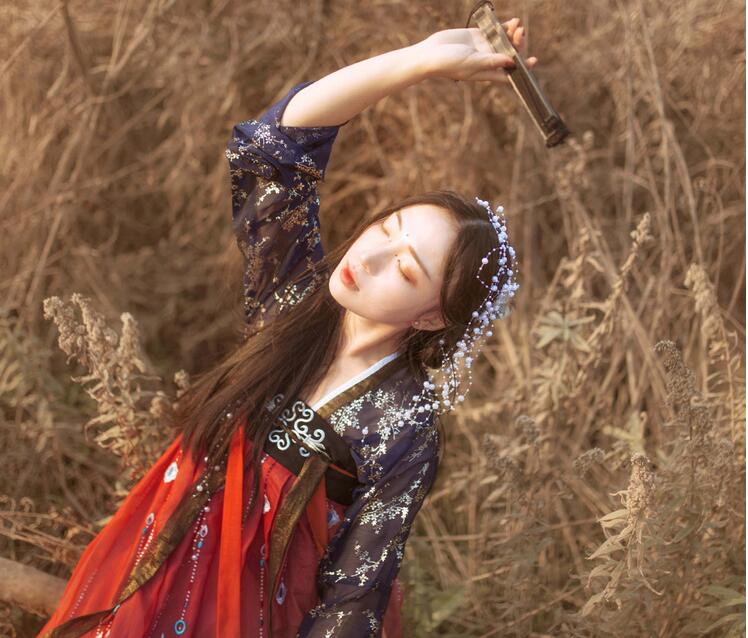 傳統(tǒng)齊胸襦裙，錦繡燙金刺繡漢服圖片