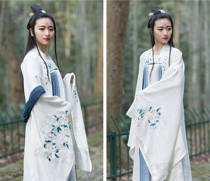 中國風傳統(tǒng)漢服女裝大袖衫繡花上衣