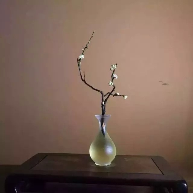 超有意境的瓶花藝術(shù)，一組簡(jiǎn)約中國瓶花藝術(shù)