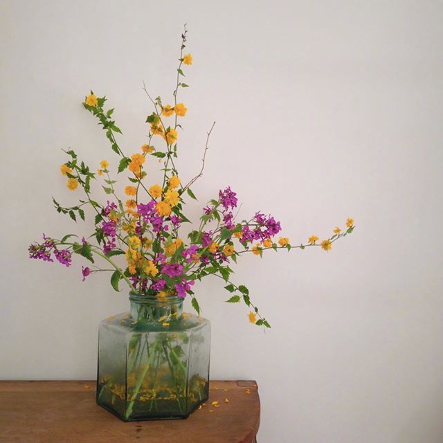 小清新插花藝術(shù)欣賞，生活如此美好