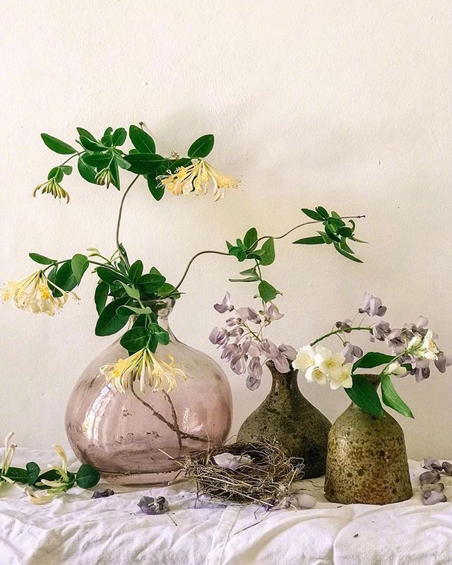 小清新插花藝術(shù)欣賞，生活如此美好