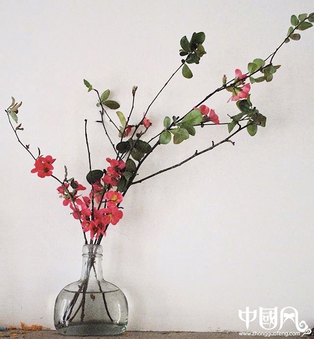 小清新插花藝術欣賞，生活如此美好