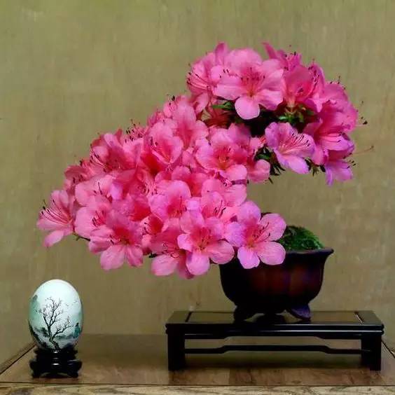 花香滿溢，唯美花藝設(shè)計！