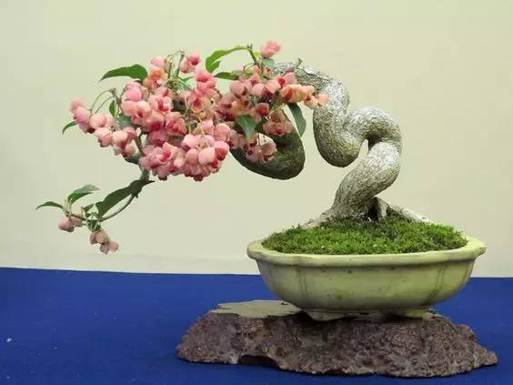 花香滿溢，唯美花藝設(shè)計(jì)！