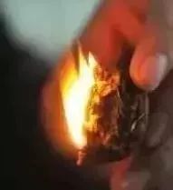 如何辨別真假核桃？五招辨別真假的方法