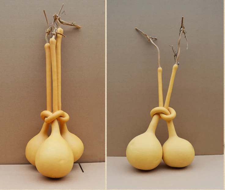 驚呆了，造型獨(dú)特的葫蘆工藝品