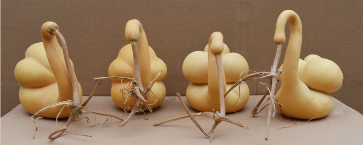 驚呆了，造型獨(dú)特的葫蘆工藝品