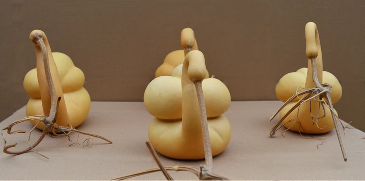 驚呆了，造型獨(dú)特的葫蘆工藝品