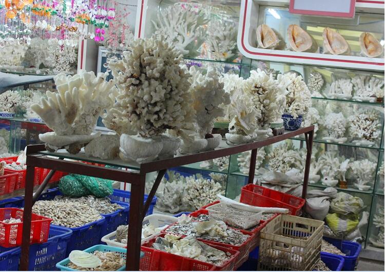 精美的珊瑚藝術(shù)品--千年珊瑚萬(wàn)年紅（七）