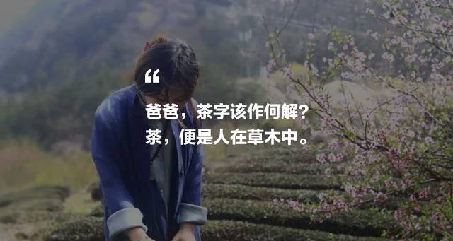 曉陽(yáng)春茶，尋找茶道融于茶水中的美好生活