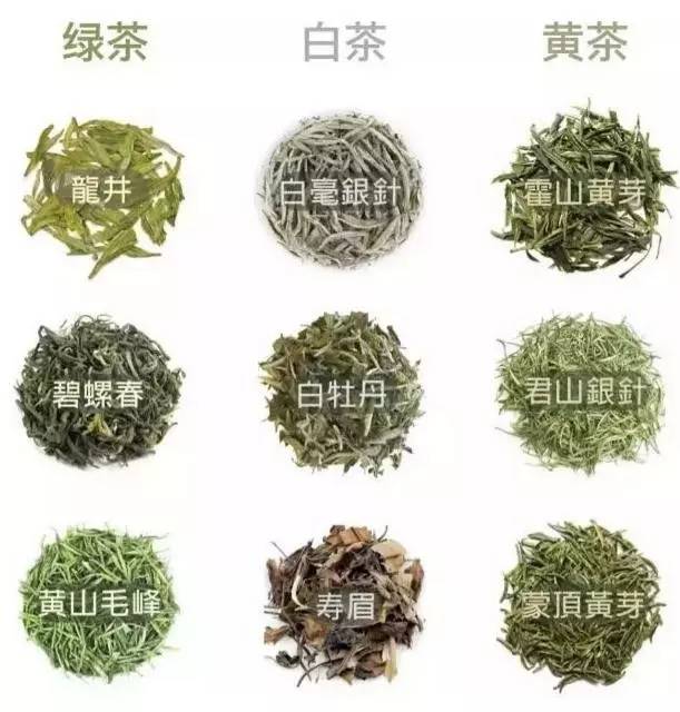 中國茶道:一次性把中國茶講清楚