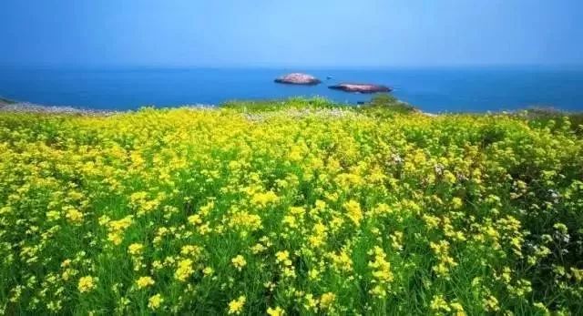 風(fēng)景游玩攻略：11個絕美海島路線約嗎？