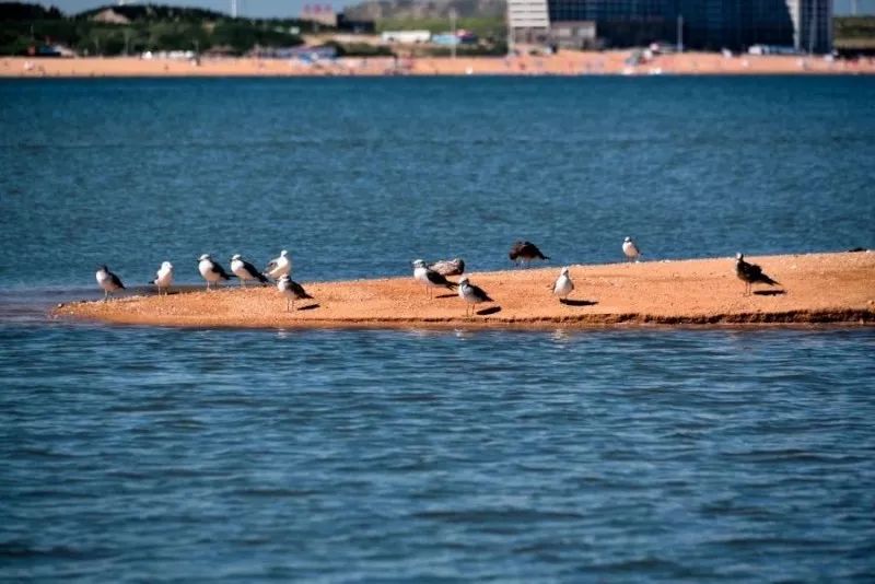 風(fēng)景游玩攻略：11個絕美海島路線約嗎？
