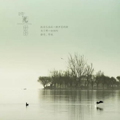 風景攝影作品時光靜好：邛海景色！
