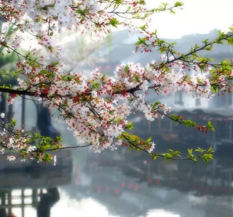 遇見中國最美的風(fēng)景，30個(gè)景色宜人的地方！