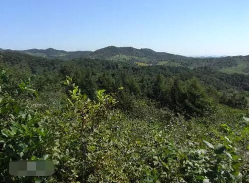 長白山余脈在昌圖，三省交界風(fēng)景最美地