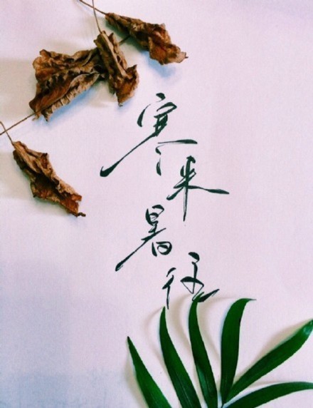 別致新穎的書法字體，美的很有意境！