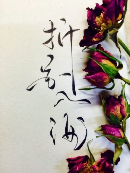 別致新穎的書法字體，美的很有意境！