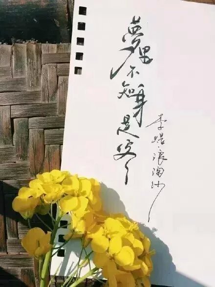 別致新穎的書法字體，美的很有意境！