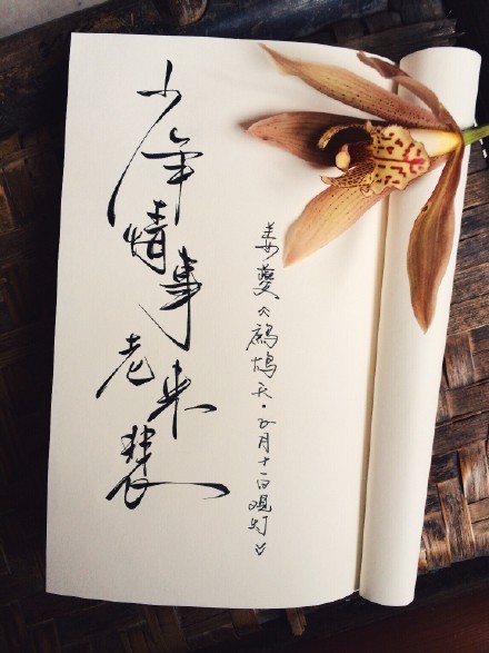 別致新穎的書法字體，美的很有意境！