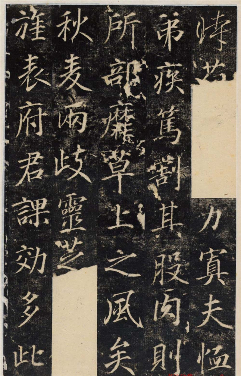 唐代行楷書(shū)法碑帖《王履清碑》（局部）