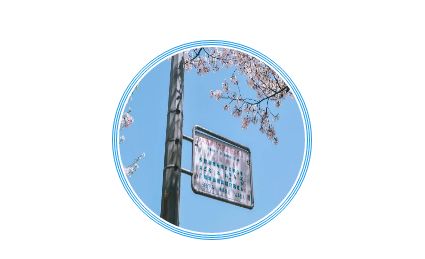 踏青尋色：春光無限好，只為等待一個(gè)你