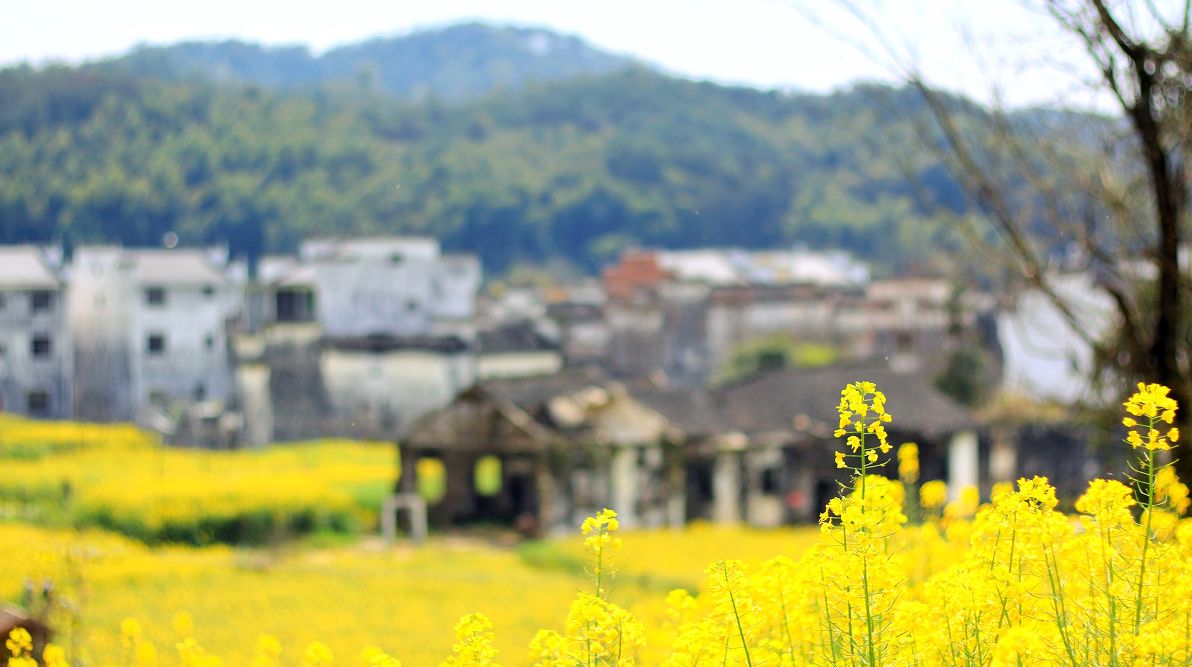 夢(mèng)回西江，南昌，廬山，婺源