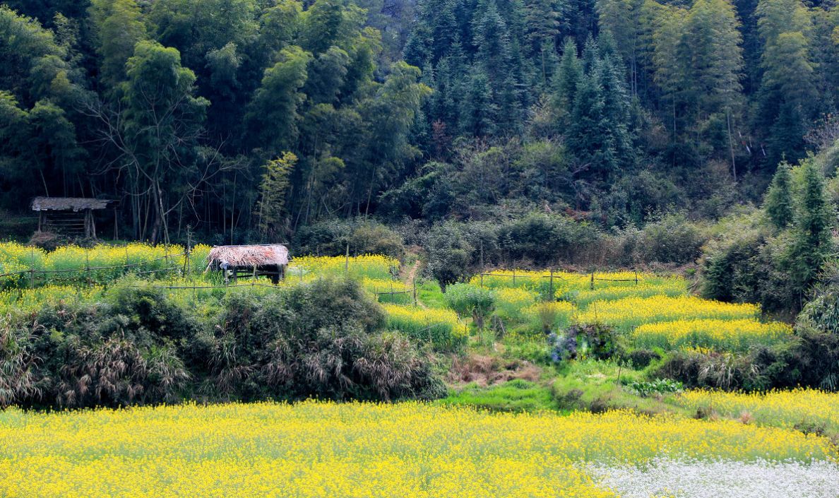 夢(mèng)回西江，南昌，廬山，婺源