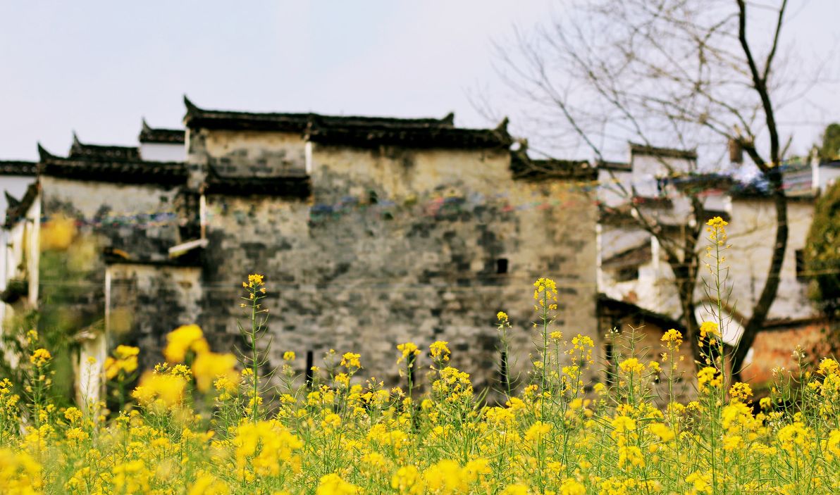 夢(mèng)回西江，南昌，廬山，婺源
