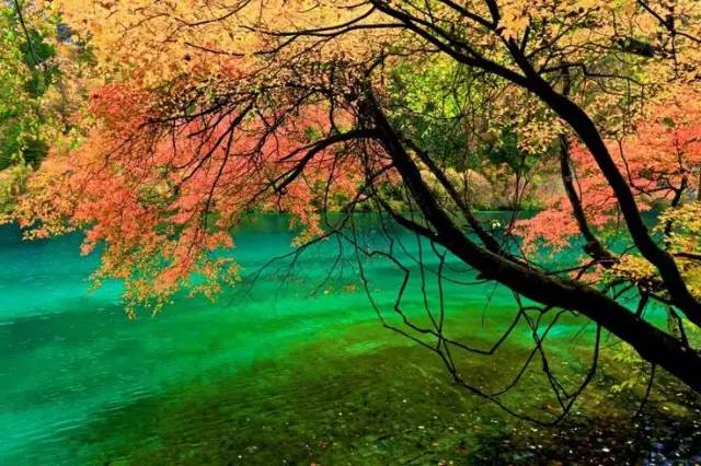 十處優(yōu)美的山水風(fēng)景，錦繡山河如詩(shī)如畫(huà)！