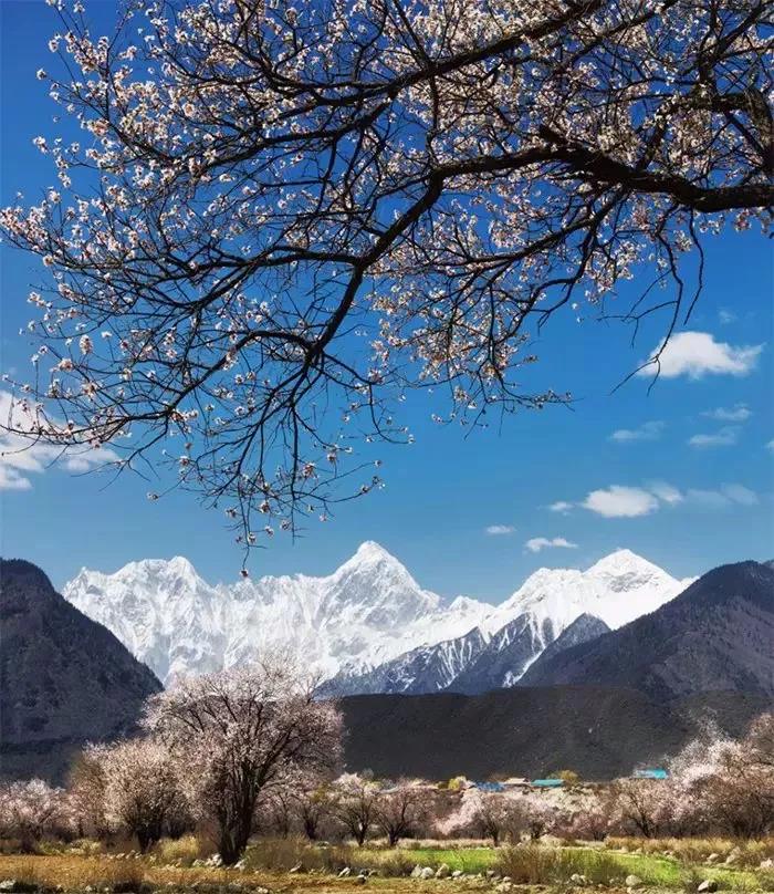 8處風(fēng)景如詩如畫，春天最值得去的地方！