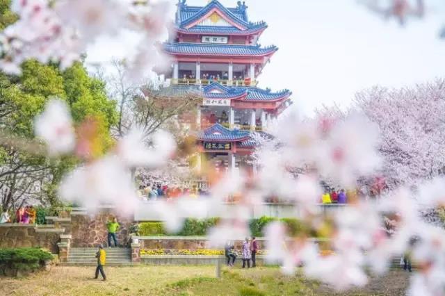 8處風(fēng)景如詩(shī)如畫，春天最值得去的地方！