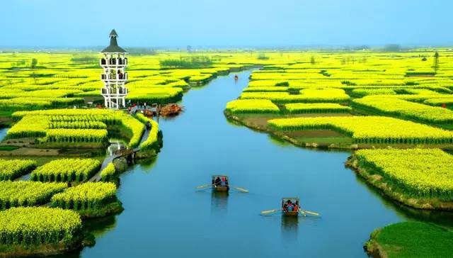 美到窒息的中國最美油菜花海，邂逅花海風(fēng)景！