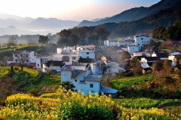 美到窒息的中國最美油菜花海，邂逅花海風(fēng)景！