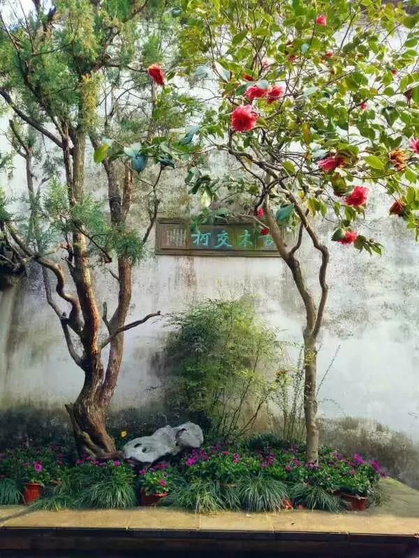 中國的四大名園，意想不到的風(fēng)景園林美!