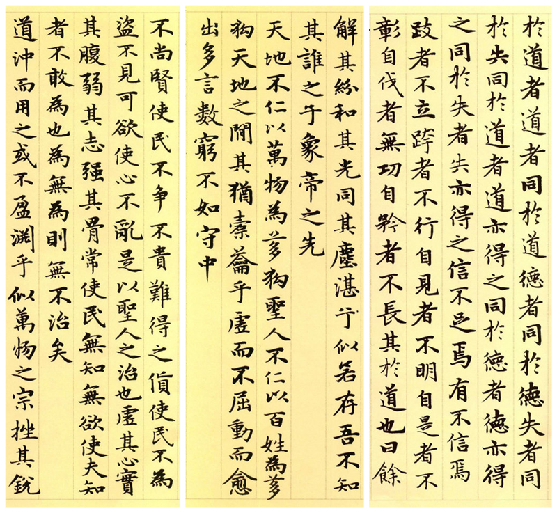 楷書(shū)四大家之趙孟頫《道德經(jīng)》（節(jié)選）欣賞