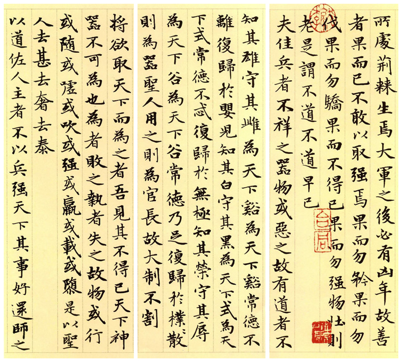 楷書(shū)四大家之趙孟頫《道德經(jīng)》（節(jié)選）欣賞