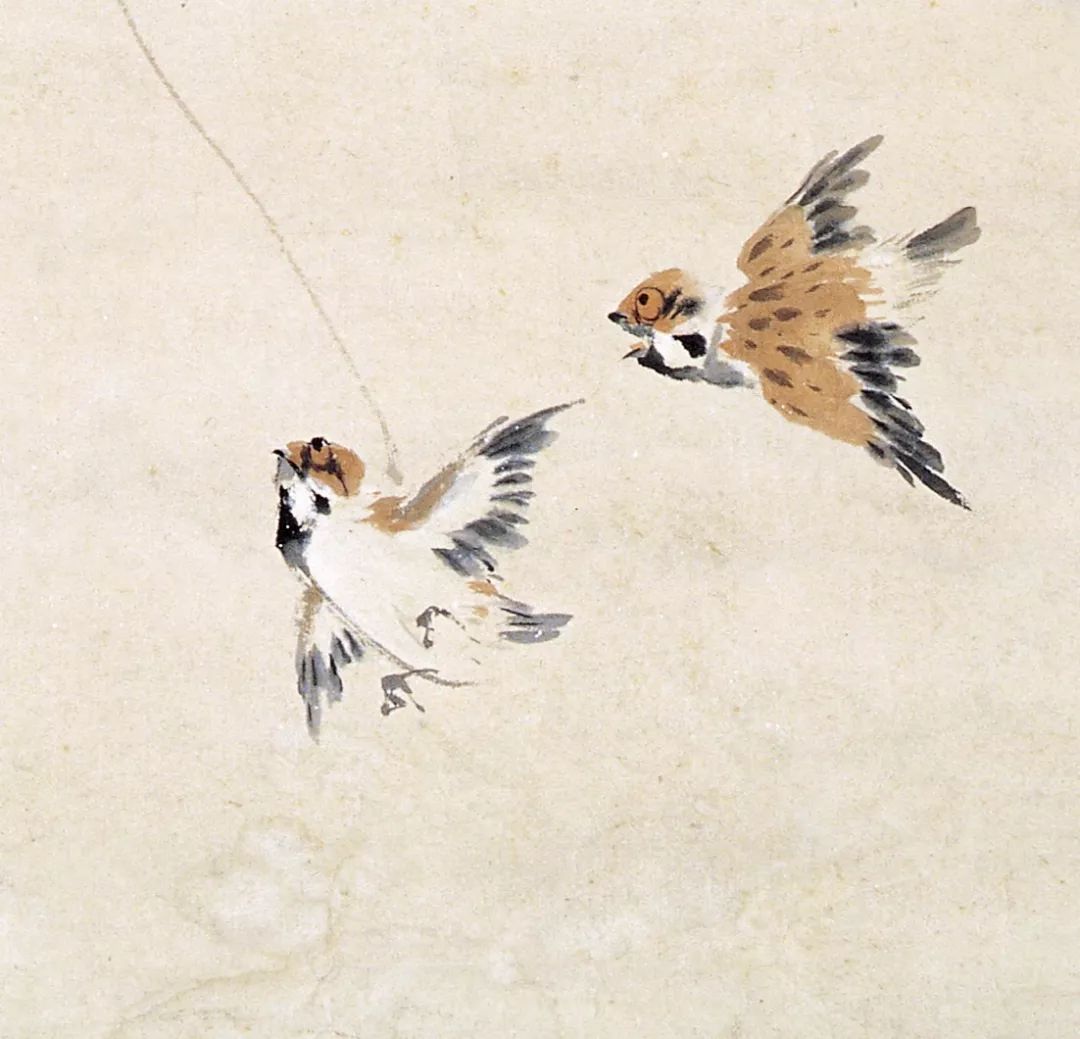 100幅禽鳥百圖，國畫鳥類美醉了！
