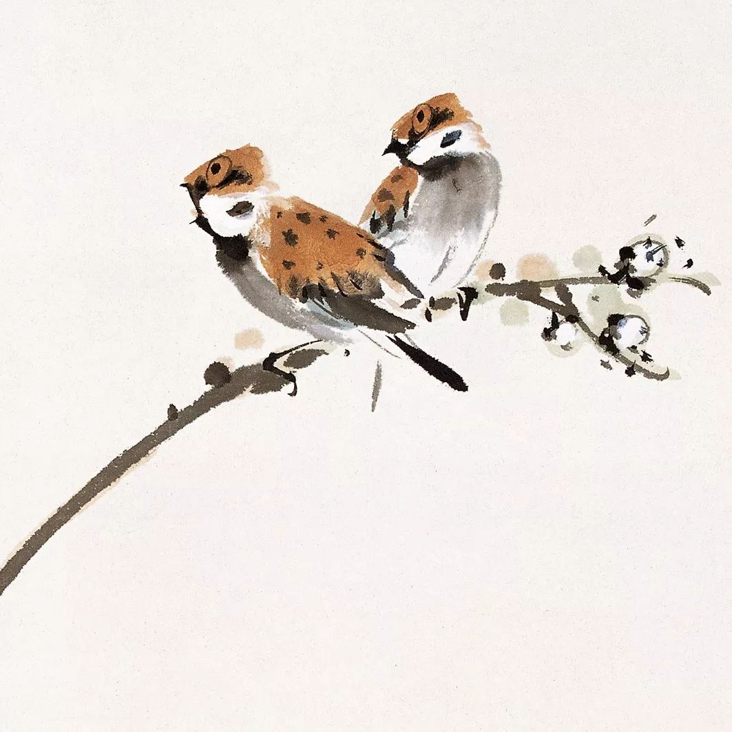 100幅禽鳥百圖，國畫鳥類美醉了！