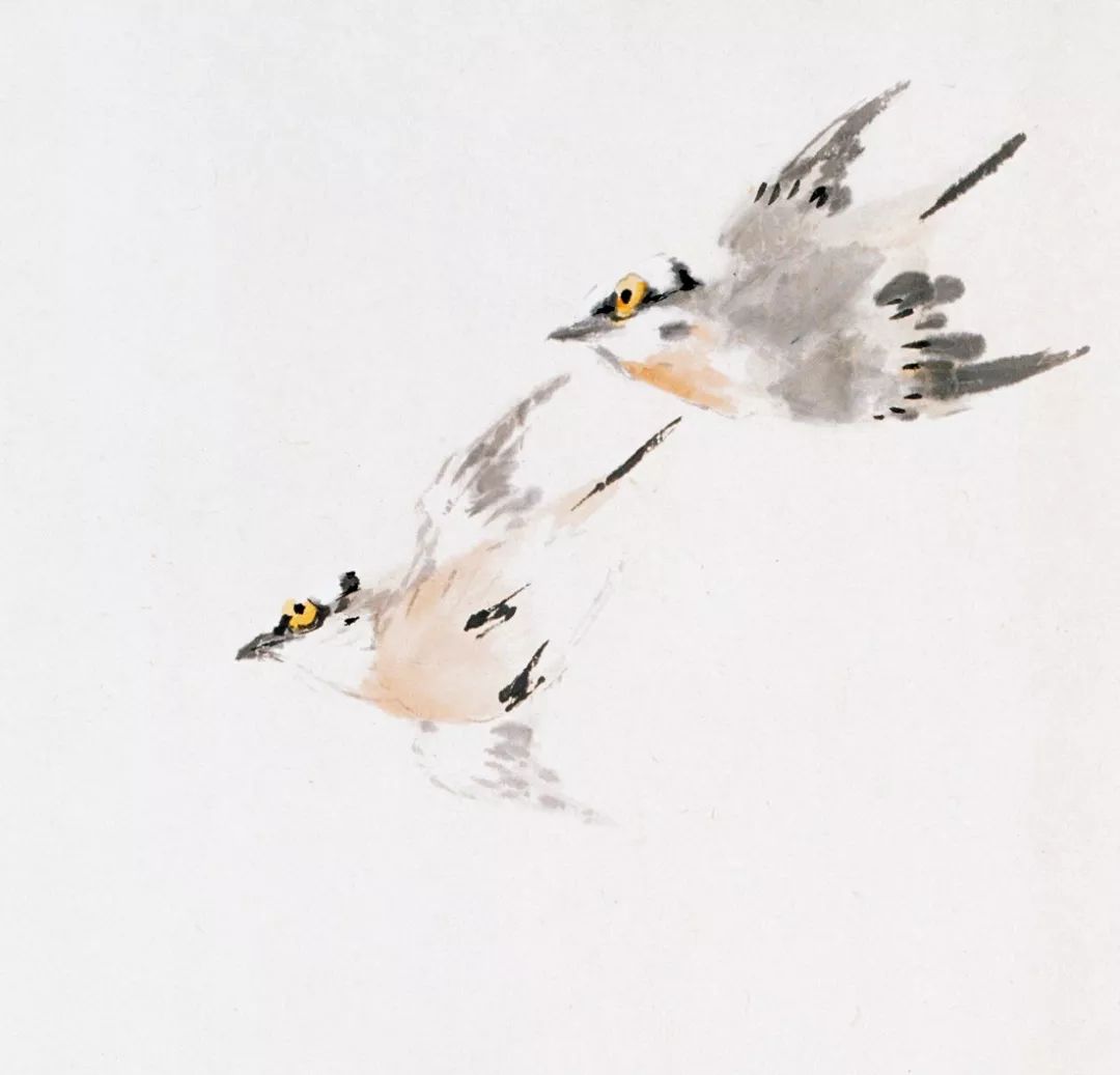 100幅禽鳥百圖，國畫鳥類美醉了！