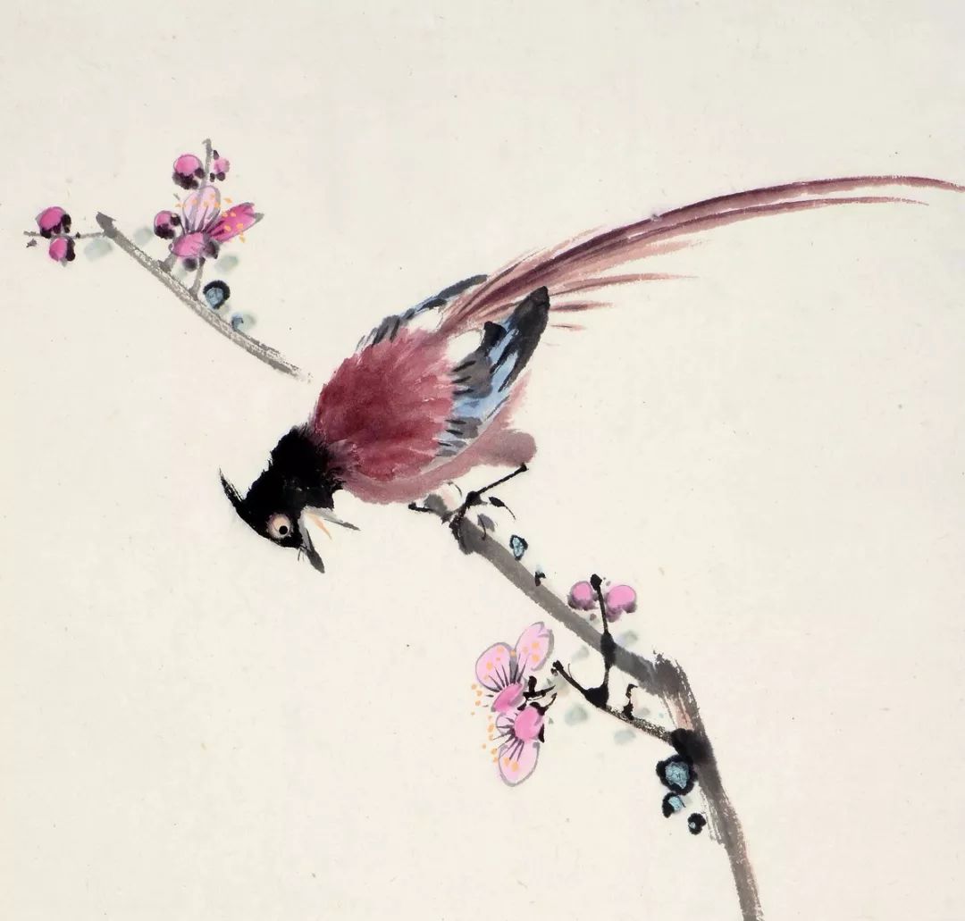 100幅禽鳥百圖，國畫鳥類美醉了！