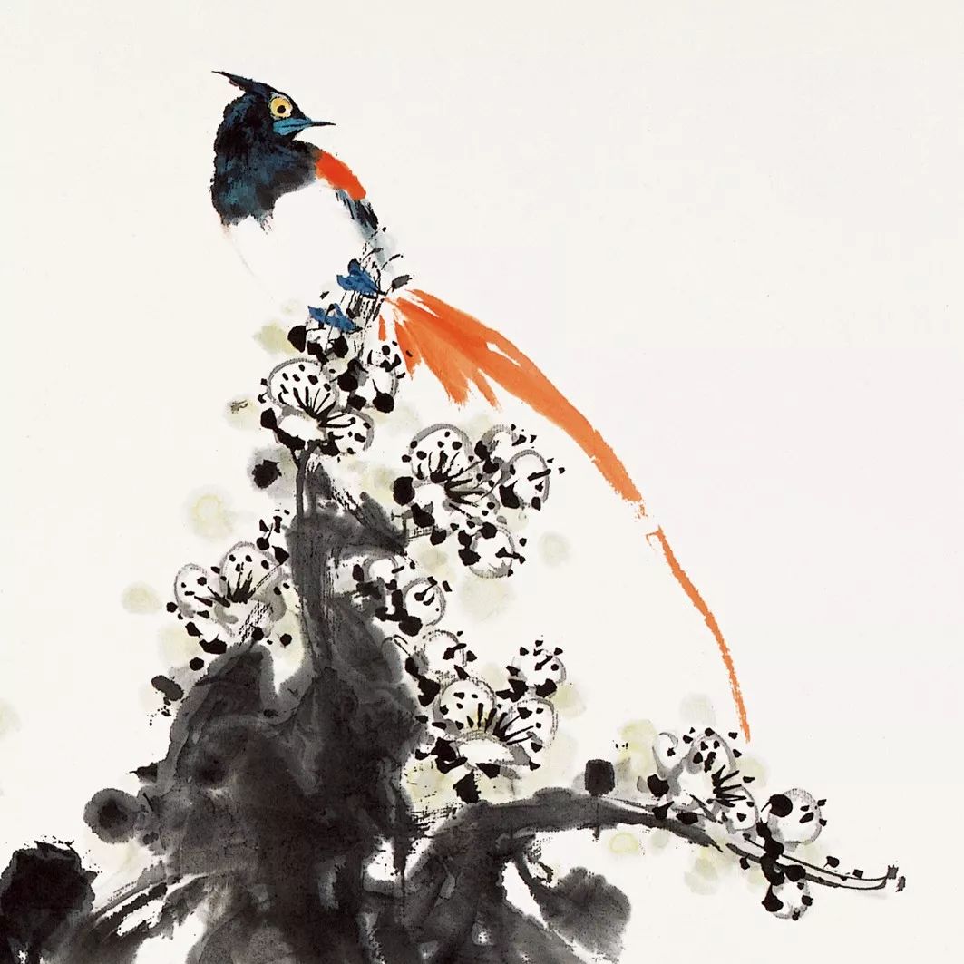 100幅禽鳥百圖，國畫鳥類美醉了！