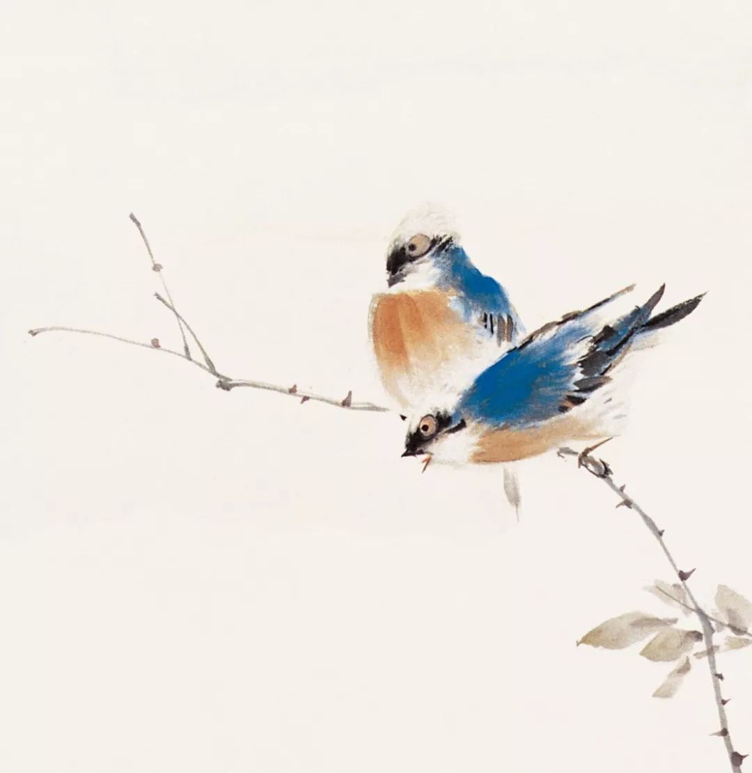 100幅禽鳥百圖，國畫鳥類美醉了！