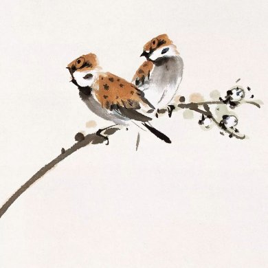 100幅禽鳥百圖，國畫鳥類美醉了！