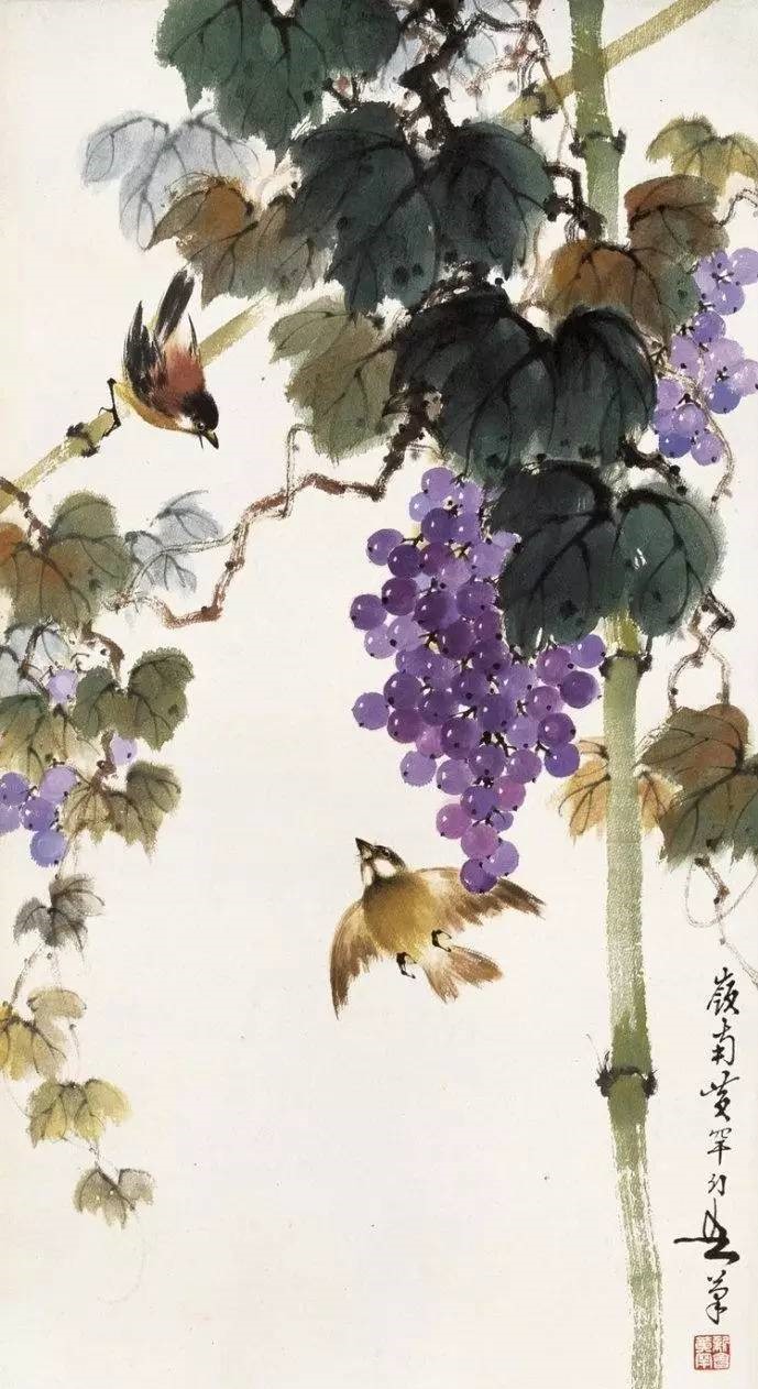 美人如葡萄，秀美如國畫！