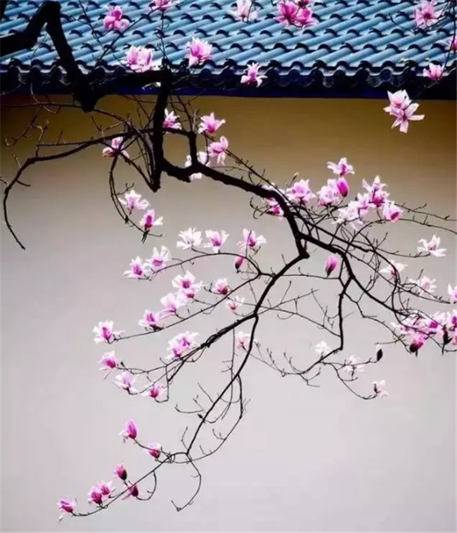 中國最美古建筑，古建筑攝影