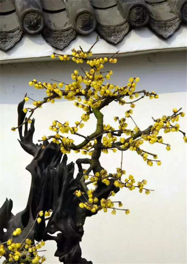 中國最美古建筑，古建筑攝影