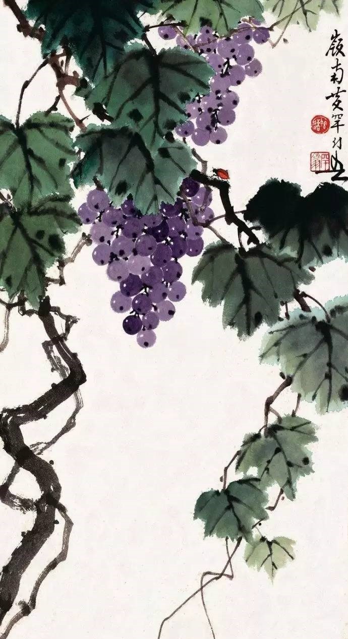 美人如葡萄，秀美如國畫！