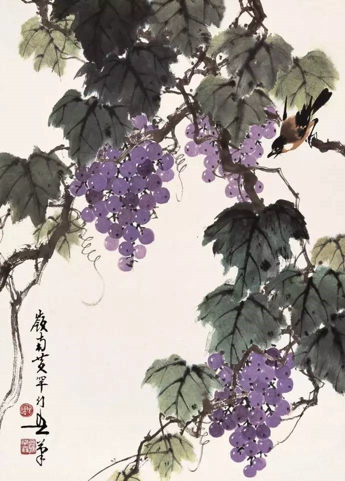 美人如葡萄，秀美如國畫！