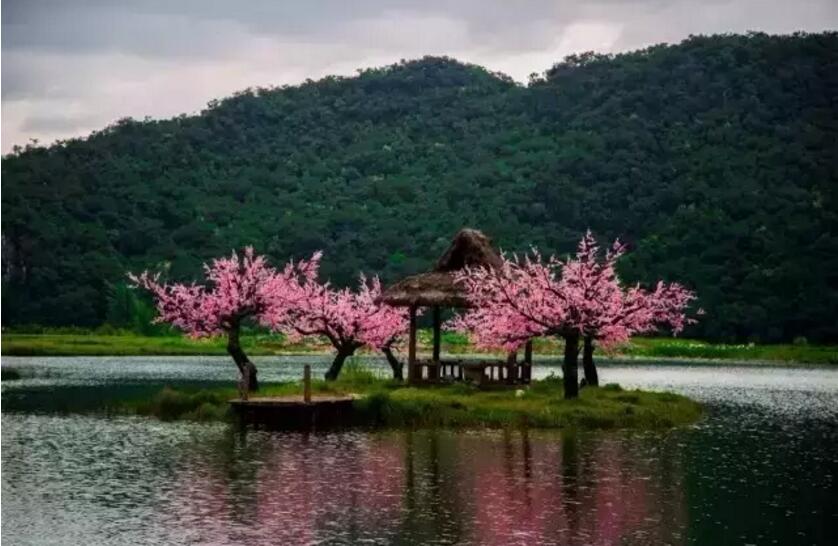 《三生三世十里桃花》的外景拍攝地！